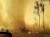 Fiery tornado video from Australia's Brisbane goes viral 