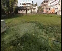 হুগলিতে ডেঙ্গি-আতঙ্ক, কাল খড়গপুর সদরে উপনির্বাচন - এক ঝলকে 