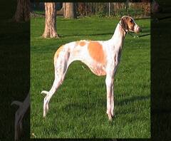 Majha 20-20 | सकाळच्या घडामोडींचा वेगवान आढावा | माझा 20-20 | ABP Majha