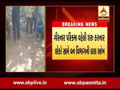 ગીરનાર પરિક્રમાઃ નિયત સમય પહેલા ગીર સેન્ચૂરીમાં પ્રવેશ કરનારાઓને વન વિભાગે કરાવી ઉઠક-બેઠક, જુઓ વીડિયો