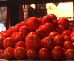 Reporter Stories: সব্জির বাজার আগুন, বুলবুলের প্রভাবে দামবৃদ্ধির আশঙ্কা