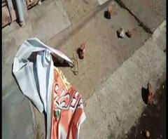 Reporter Stories: হরিপালে বিজেপি কর্মী সমর্থকদের বাড়ির ওপর হামলার অভিযোগ তৃণমূলের বিরুদ্ধে, অস্বীকার শাসক দলের