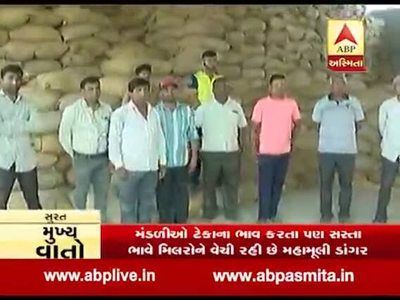 દક્ષિણ ગુજરાતમાં: ખેડૂત મંડળીઓ અને મિલરોની મિલિભગતથી ડાંગર પકવતા ખેડૂતોને મોટું નુકસાન, જુઓ વીડિયો