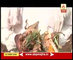 Special Report | पीकविमा कंपन्यांकडून निविदा न आल्याने शेतकऱ्यांचे हाल | बीड | ABP Majha 