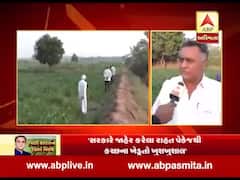 સરકારે જાહેર કરેલા રાહત પેકેજથી કચ્છના ખેડૂતો ખુશખુશાલ, જુઓ વીડિયો