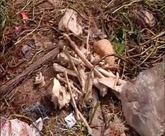 হরিদেবপুরের সত্যেন পার্ক এলাকায় ঝোপের মধ্যে থেকে উদ্ধার খুলি ও হাড়