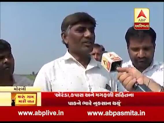 મારું ગામ, મારી વાતઃ મોરબીના જેપુર ગામના ખેડૂતો સાથે ખેતીમાં નુકસાન મુદ્દે ખાસ વાત