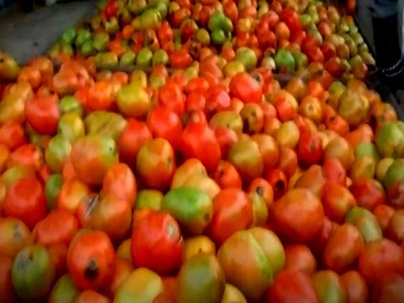 पाकिस्तान में टमाटर पर लगा बंदूकबाजों का पहरा ! देखिए पूरा मामला