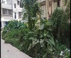 পানিহাটিতে ডেঙ্গিতে মৃত ব্যবসায়ীর বাড়িতে বিদায়ী তৃণমূল কাউন্সিলর, দেখা করল বিজেপিও, উত্তর ২৪ পরগনায় ডেঙ্গির ভয়াবহতা নিয়ে শুরু রাজনৈতিক চাপানউতোর