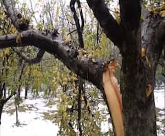 Top 25 News | टॉप 25 न्यूज बुलेटिन | 17 नोव्हेंबर 2019 | ABP Majha