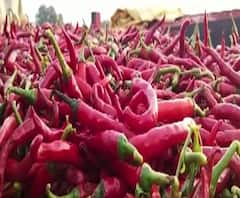 Village News | माझं गाव माझा जिल्हा | राज्याच्या कानाकोपऱ्यातील बातम्यांचा आढावा | ABP Majha