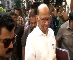 Sharad Pawar at Leelavati | संजय राऊतांच्या भेटीला शरद पवार आणि रोहित पवार लिलावतीमध्ये | ABP Majha 