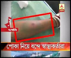 কোন পোকার কামড়ে মৃত্যু বৈদ্যবাটিতে গৃহবধূর? খতিয়ে দেখেও পোকার অস্তিত্ব পেলেন না স্বাস্থ্য দফতরের প্রতিনিধিরা
