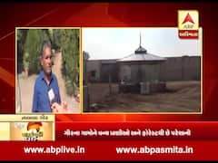 સરપંચની વાતઃ તાલાલા ગીરના ગામોને વન્ય પ્રાણીઓ અને ફોરેસ્ટથી છે પરેશાની