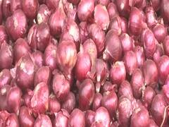 देश भर में महंगे प्याज की मार जारी; देखिए देश की खबरें