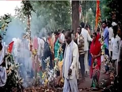 Miracle tree turns crowd violent in Hoshangabad, people attack police 