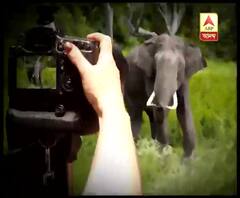 ঝাড়গ্রামের সাঁকরাইলে ছবি তুলতে গিয়ে হাতির আক্রমণে মৃত্যু যুবকের