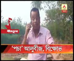 পচা আলুবীজ বিতরণ পঞ্চায়েত থেকে, বিক্ষোভ সাঁইথিয়ায়, দিদিকে বলোতে অভিযোগ