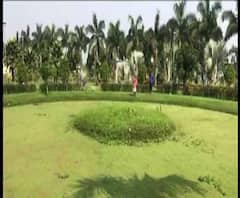 Reporter Stories: ভুল করে পানাপুকুরে খেলতে নেমে শিশুমৃত্যু ইকো পার্কে , নিরাপত্তা নিয়ে প্রশ্ন! 