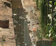 আবর্জনা, মশা-মাছি, বাঁকুড়া সম্মিলনী মেডিক্যাল কলেজ হাসপাতালে ডেঙ্গি সংক্রমণের আশঙ্কায় রোগীর আত্মীয়রা