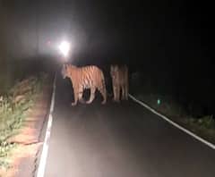 Village News | माझं गाव माझा जिल्हा | राज्याच्या कानाकोपऱ्यातील बातम्यांचा आढावा | ABP Majha