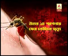 ফের ডেঙ্গির বলি, পানিহাটিতে ৩৯ বছরের সেবাব্রত সাহার মৃত্যু 