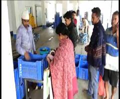 Reporter Stories: রাজ্য সরকারের সুফল বাংলা আউটলেটে ৫৯ টাকায় বিকোচ্ছে পিঁয়াজের কিলো