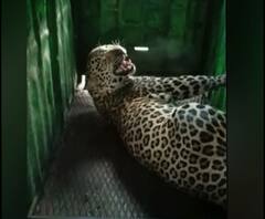 Village News | माझं गाव माझा जिल्हा | राज्याच्या कानाकोपऱ्यातील बातम्यांचा आढावा | ABP Majha