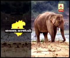 নাগরাকাটায় হাতির পায়ে পিষ্ট হয়ে যুবকের মৃত্যু 