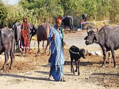 મહેસાણાના ખેડૂતોએ કહ્યુ- ખેડૂતોને લઇને સરકારનો અભિગમ સારો છે