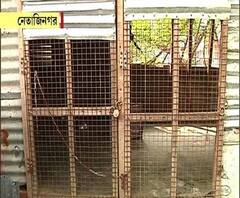 প্রতিবেশীর সঙ্গে বিবাদ! 'শিক্ষা দিতে বিদ্যুতের শক দিয়ে মারা হল ছটি কুকুরকে'