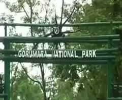 Reporter Stories: গরুমারা অভয়ারণ্যে কোনওরকম নিরাপত্তা নেই, অবাধে জঙ্গলে প্রবেশ করা যায়, অভিযোগ স্থানীয় বাসিন্দাদের