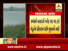કમોસમી વરસાદથી ખરીફ પાક બાદ હવે રવિ પાકમાં પણ ખેડૂતોને નુકશાન, જુઓ વીડિયો 