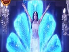 Naagin 4: Finally The Second ‘Naagin’ Is Revealed