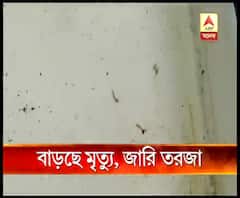রাজ্যে ভয়াবহ আকার নিচ্ছে ডেঙ্গি, সরকারি মতে মৃত্যের সংখ্যা ২৩ হলেও, বেসরকারি মতে ৪৯,জারি তরজা