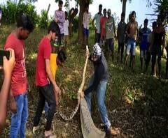 Rural News | माझं गाव माझा जिल्हा | गावाकडच्या बातम्यांचा वेगवान आढावा | ABP Majha