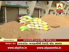 રાજકોટ માર્કેટિંગ યાર્ડમાં મગફળીની બમ્પર આવક, કેટલા મળી રહ્યા છે ભાવ, જુઓ વીડિયો