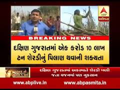 શેરડીની ખેતી કરતા ખેડૂતોને પણ સહાય કરવાની માંગ, જુઓ વીડિયો