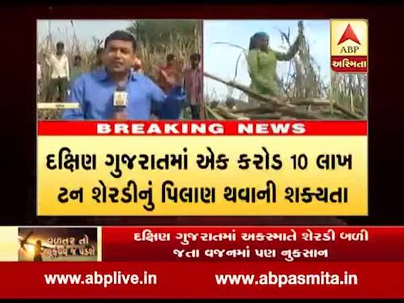 શેરડીની ખેતી કરતા ખેડૂતોને પણ સહાય કરવાની માંગ, જુઓ વીડિયો