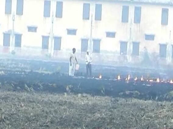 बढ़ते प्रदूषण के बावजूद बीजेपी सांसद के खेत में जलाई गई पराली | पंचनामा में देखिए बड़ी खबरें