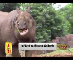 कॉर्बेट में 10 गैंडे लाने की तैयारी