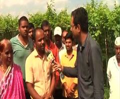 Rotten Veggies Stall | शेतात पाणी साचल्याने कुजलेल्या पिकाचा आदित्य ठाकरेंसमोर स्टॉल | नाशिक | ABP Majha