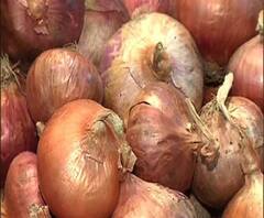 Reporter Stories: ফের অগ্নিমূল্য পেঁয়াজ, কলকাতাতেও বাড়ছে দাম