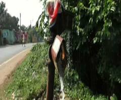 Reporter Stories: বাঁকুড়ার ধবনী গ্রামের বাসিন্দারা বিশুদ্ধ পানীয় জল থেকে বঞ্চিত, রাজনৈতিক তরজা