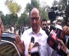 Maharashtra Govt Formation | सरकारबद्दल शिवसेना-भाजपला विचारा : शरद पवार | ABP Majha