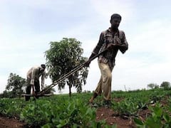 પાટણઃ રાધનપુરના ખેડૂતોએ પાક ધિરાણ મુદ્દે મચાવ્યો હોબાળો, જુઓ વીડિયો