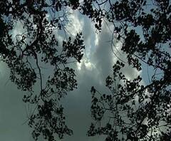 ধেয়ে আসছে বুলবুল, উপকূলবর্তী তিন জেলায় ভারী বৃষ্টির সম্ভাবনা, মত্‍স্যজীবীদের সমুদ্রে যেতে নিষেধাজ্ঞা