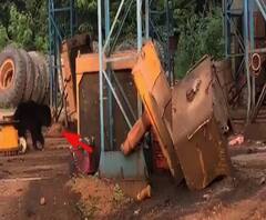 भटाळी कोळसा खाणीच्या परिसरात अस्वलाचा मुक्त संचार | चंद्रपूर | ABP Majha 