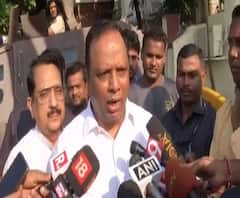 Ashish Shelar | अजित पवाराचं राष्ट्रवादीचे गटनेत - आशिष शेलार | ABP Majha 