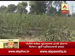 ઉત્તર ગુજરાતના કોંગ્રેસના ધારાસભ્યોએ ખેડૂતોને નુકસાન મુદ્દે કરી રજૂઆત, જુઓ ગ્રાઉન્ડ રિપોર્ટ